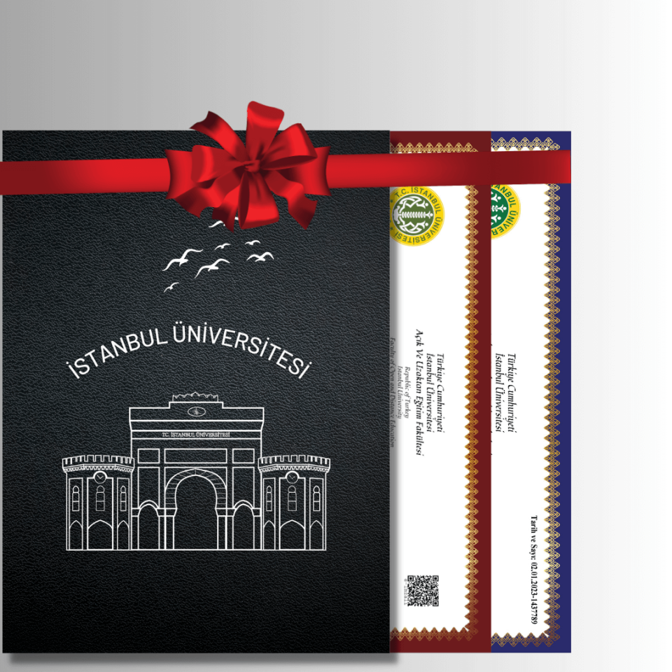 İ.U Özel Tasarım Siyah GÜMÜŞ Yaldızlı Diploma Dosyası Ve Sedef Kağıda Özel Baskı