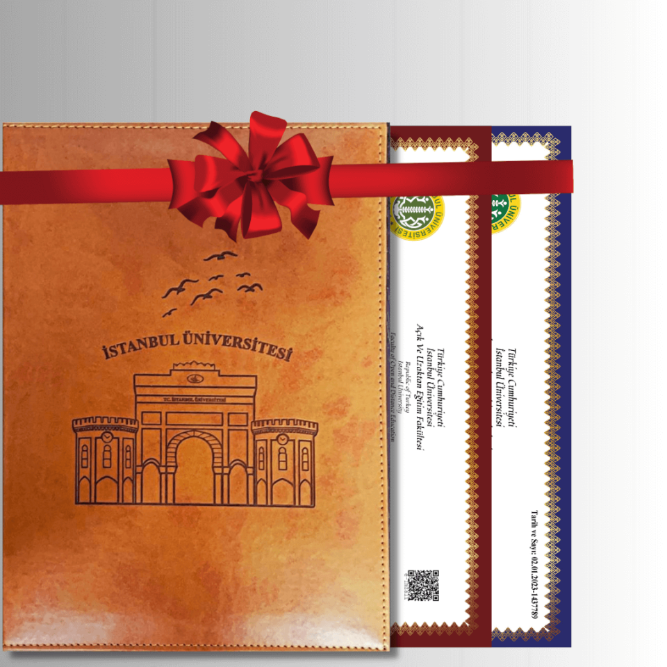 Özel Tasarım Diploma Dosyası (TABA) Ve Sedef Kağıda Özel Baskı
