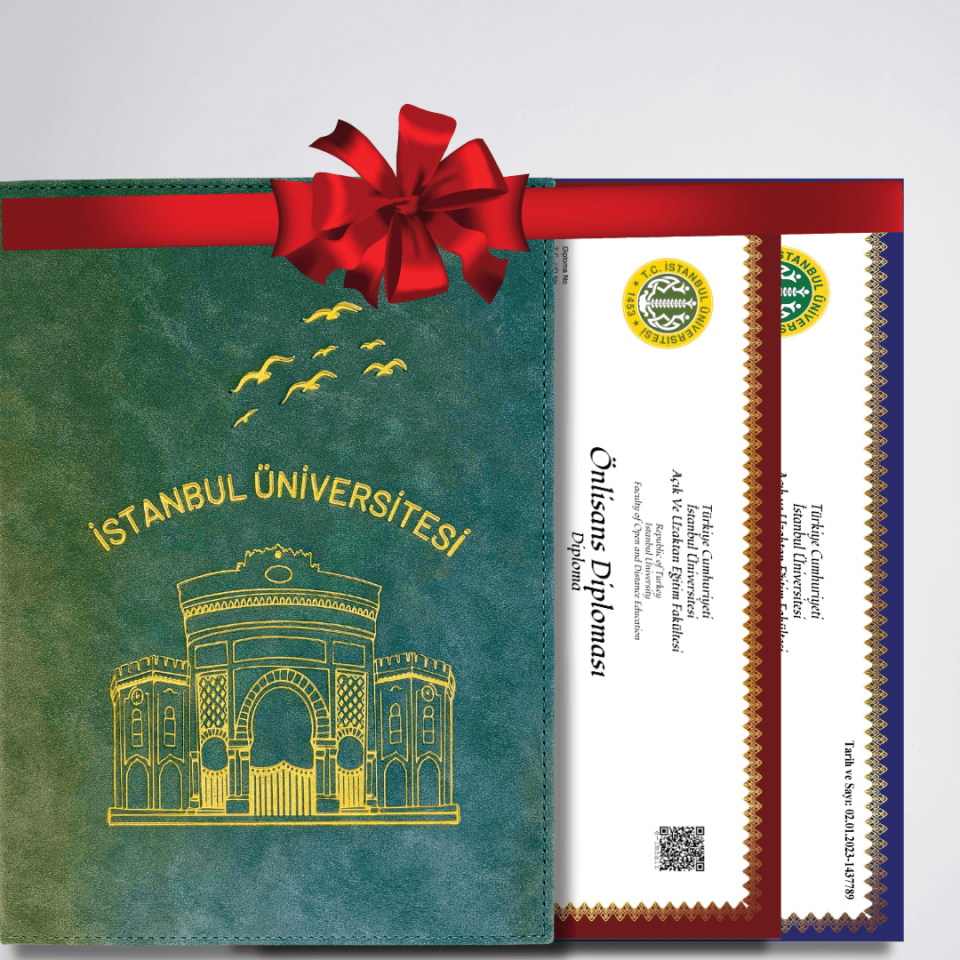 Özel Tasarım  YEŞİL ALTIN Yaldızlı Diploma Dosyası Ve Sedef Kağıda Özel Baskı