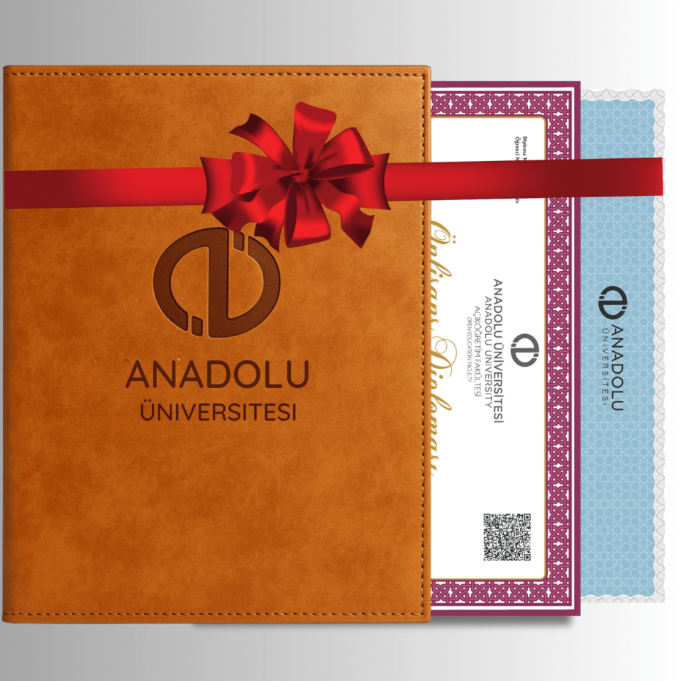 AÖF Özel Tasarım Diploma Dosyası (TABA) Ve Sedef Kağıda Özel Baskı