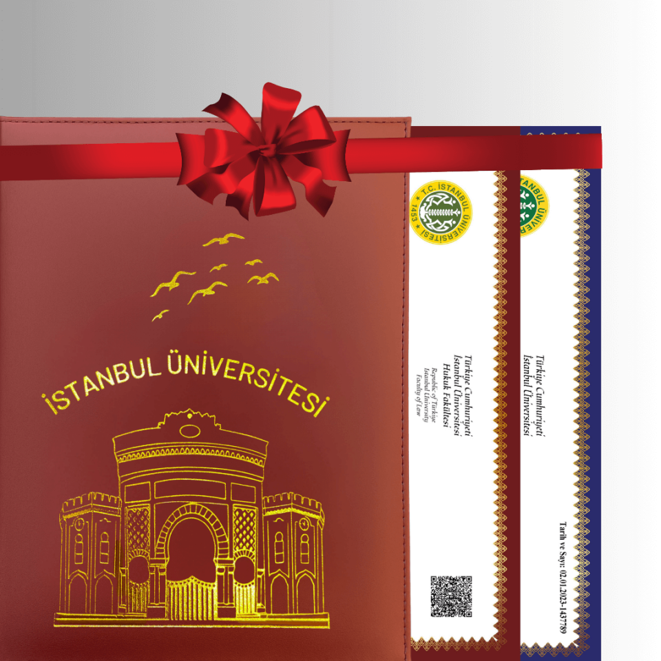 İ.U Özel Tasarım  BORDO ALTIN Yaldızlı Diploma Dosyası Ve Sedef Kağıda Özel Baskı